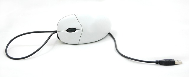 mouse-285123_640